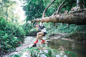 BIB: 
                            <button type="button" onclick="openModal(25431733)" class="btn btn-primary btn-sm float-right btn-popup" data-toggle="modal" data-target=".modal-high-quality">
                        <i class="fas fa-shopping-cart"></i> Add to Cart
                    </button>
                                            <button type="button" onclick="isThisMe(25431733, true)" class="btn btn-success btn-sm float-right btn-popup btn-isme hidden" data-toggle="tooltip" data-placement="bottom" title="นี่คือรูปของคุณใช่ไหม คลิกที่นี่เพื่อเอาเข้าอัลบั้ม">
                        <i class="fas fa-plus"></i> Add to album
                    </button>
                    <button type="button" onclick="isThisMe(25431733, false)" class="btn btn-warning btn-sm float-right btn-popup btn-isnotme hidden">
                        <i class="fas fa-ban"></i> Remove from album
                    </button>